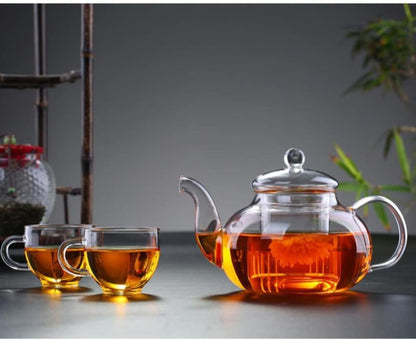 Glass Water Pitcher 400ml Borosilicate Glass Teapot with glass Infuser Stovetop
